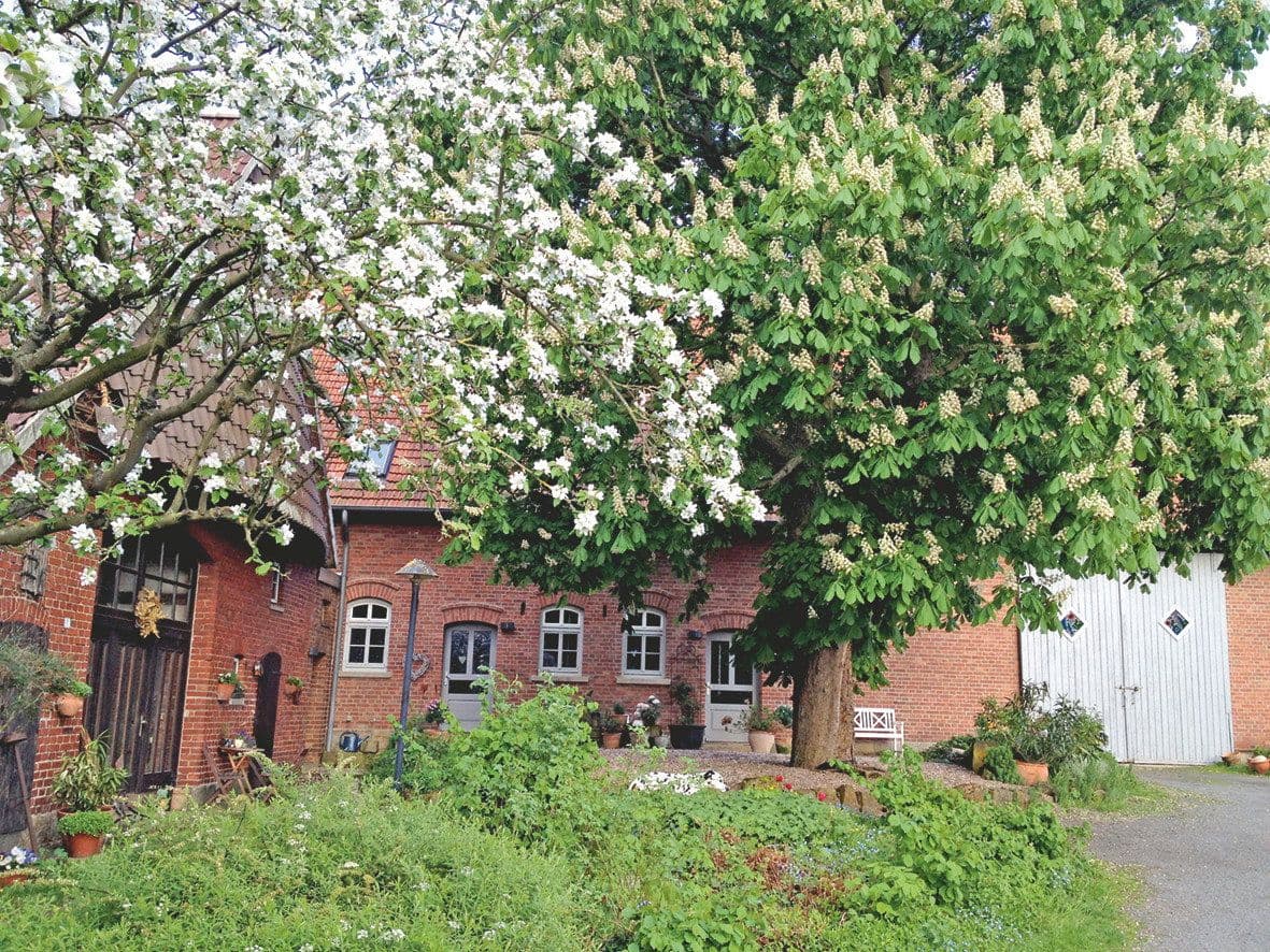 Prenájom bytu 2-izbový 90 m², Obernkirchen, Dolné Sasko Prenájom bytu 2-izbový 90 m², Obernkirchen, Dolné Sasko