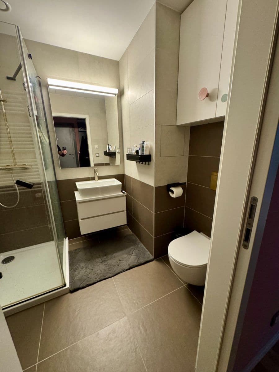 Prenájom bytu 2-izbový 63 m², Na Farkáně Ⅰ, Praha, Praha Prenájom bytu 2-izbový 63 m², Na Farkáně Ⅰ, Praha, Praha