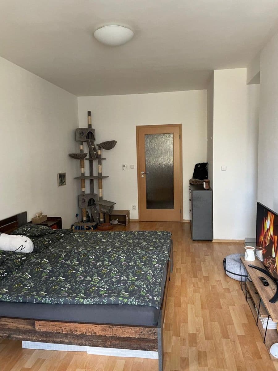 Prenájom bytu 1-izbový 48 m², U Leskavy, Brno, Jihomoravský kraj Prenájom bytu 1-izbový 48 m², U Leskavy, Brno, Jihomoravský kraj