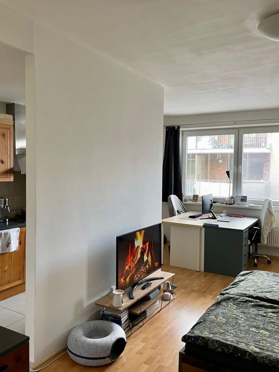 Prenájom bytu 1-izbový 48 m², U Leskavy, Brno, Jihomoravský kraj Prenájom bytu 1-izbový 48 m², U Leskavy, Brno, Jihomoravský kraj