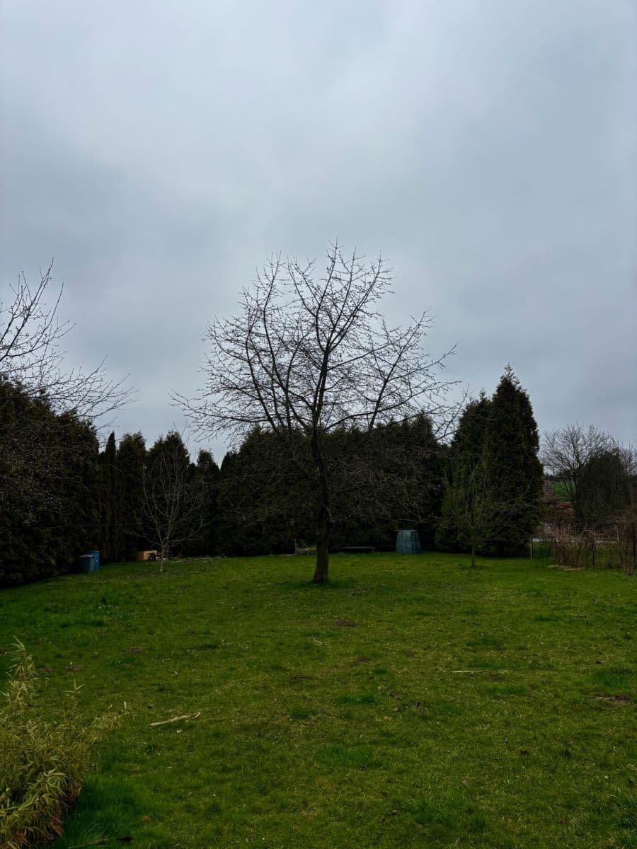 Predaj domu 80 m², pozemek 1.700 m², Bužkovská, Petřvald, Moravskoslezský kraj Predaj domu 80 m², pozemek 1.700 m², Bužkovská, Petřvald, Moravskoslezský kraj