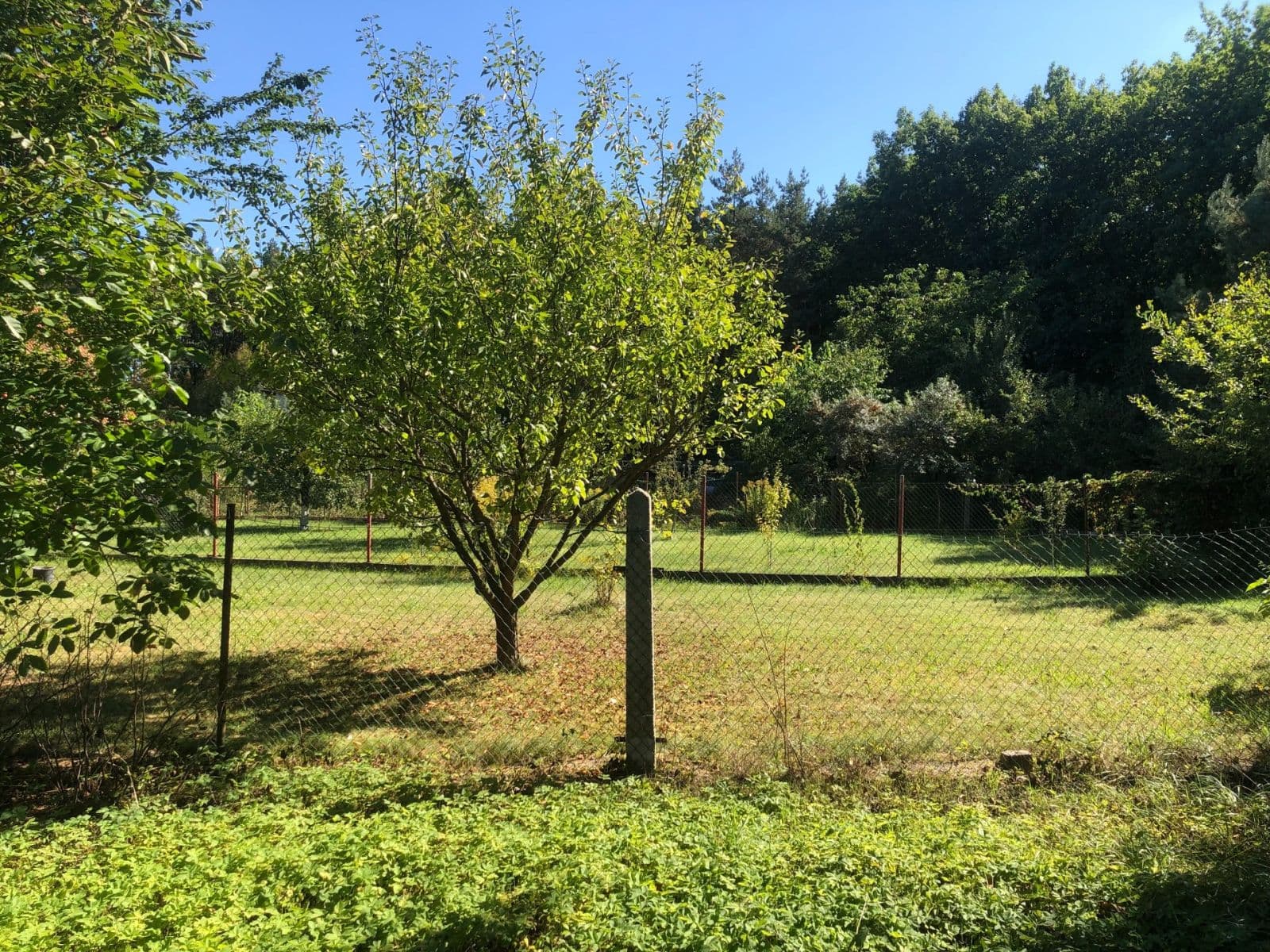 Predaj pozemku 685 m², U Lesa, Jirny, Středočeský kraj Predaj pozemku 685 m², U Lesa, Jirny, Středočeský kraj