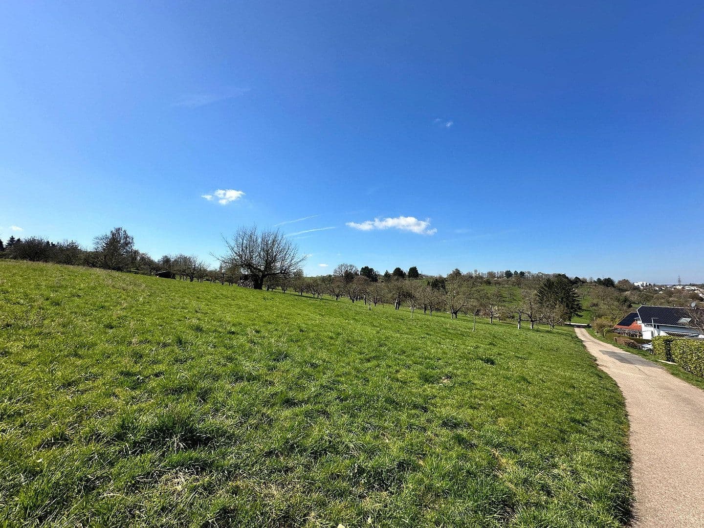 Predaj domu 207 m², pozemek 364 m², Deizisau, Bádensko-Wurttembersko Predaj domu 207 m², pozemek 364 m², Deizisau, Bádensko-Wurttembersko