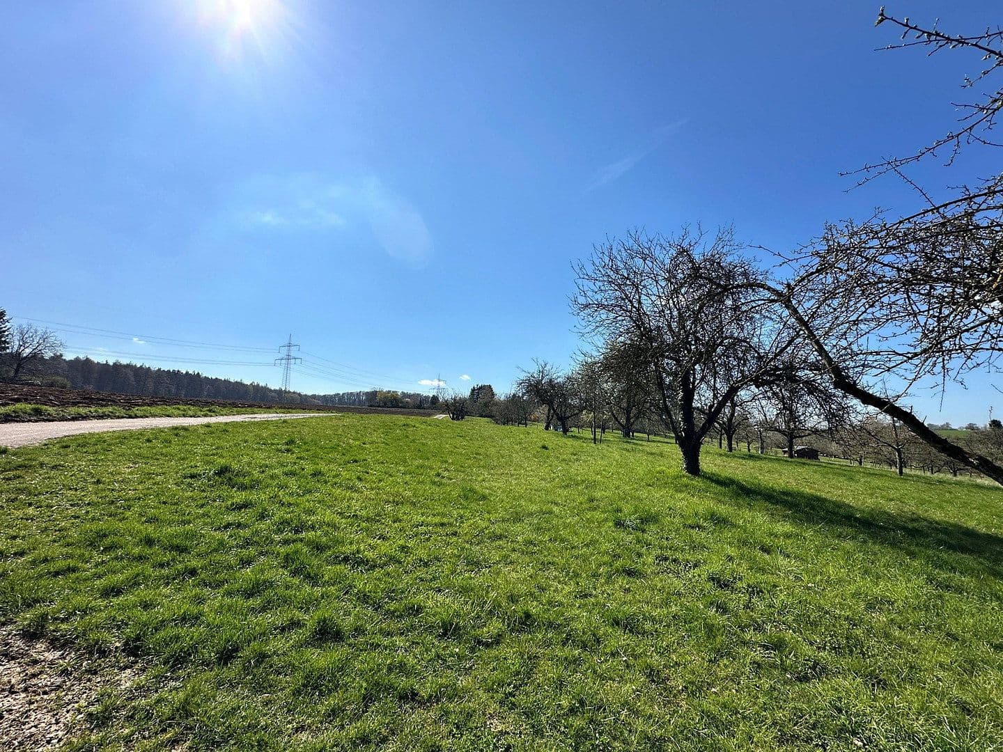 Predaj domu 207 m², pozemek 364 m², Deizisau, Bádensko-Wurttembersko Predaj domu 207 m², pozemek 364 m², Deizisau, Bádensko-Wurttembersko