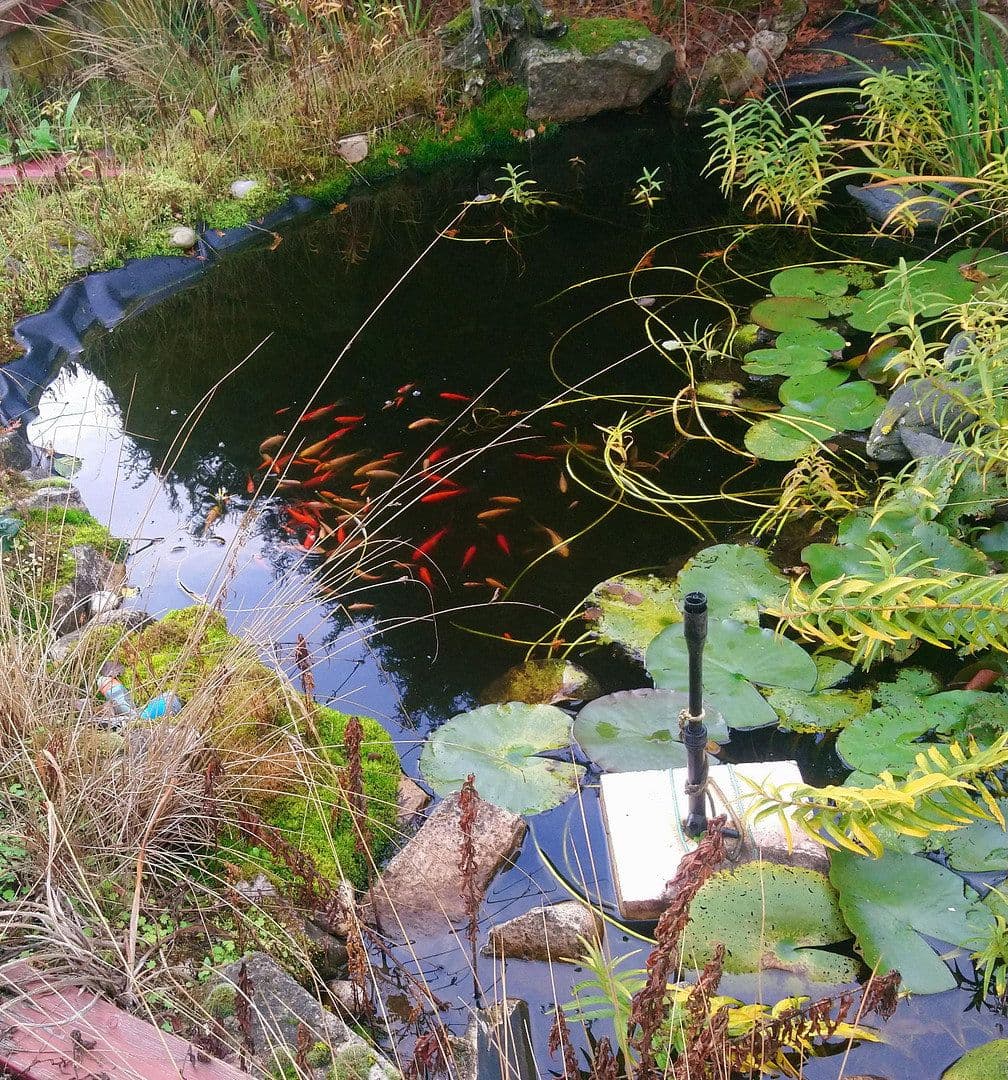 Predaj domu 118 m², pozemek 270 m², Oberleichtersbach, Bavorsko Predaj domu 118 m², pozemek 270 m², Oberleichtersbach, Bavorsko