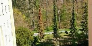 Predaj bytu 3-izbový 80 m², Sindelfingen, Bádensko-Wurttembersko Predaj bytu 3-izbový 80 m², Sindelfingen, Bádensko-Wurttembersko