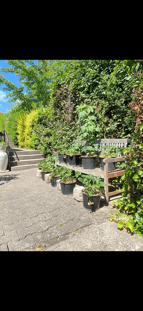 Predaj domu 110 m², pozemek 200 m², Weissach, Bádensko-Wurttembersko Predaj domu 110 m², pozemek 200 m², Weissach, Bádensko-Wurttembersko