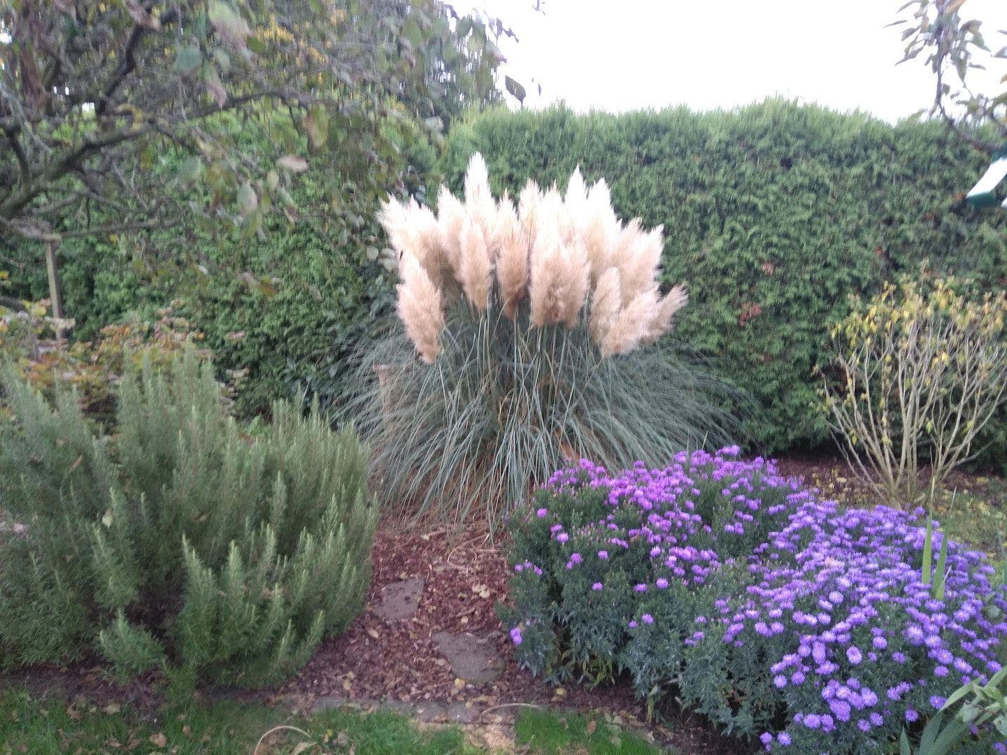 Predaj domu 185 m², pozemek 652 m², Wülfrath, Severné Porýnie - Westfálsko Predaj domu 185 m², pozemek 652 m², Wülfrath, Severné Porýnie - Westfálsko