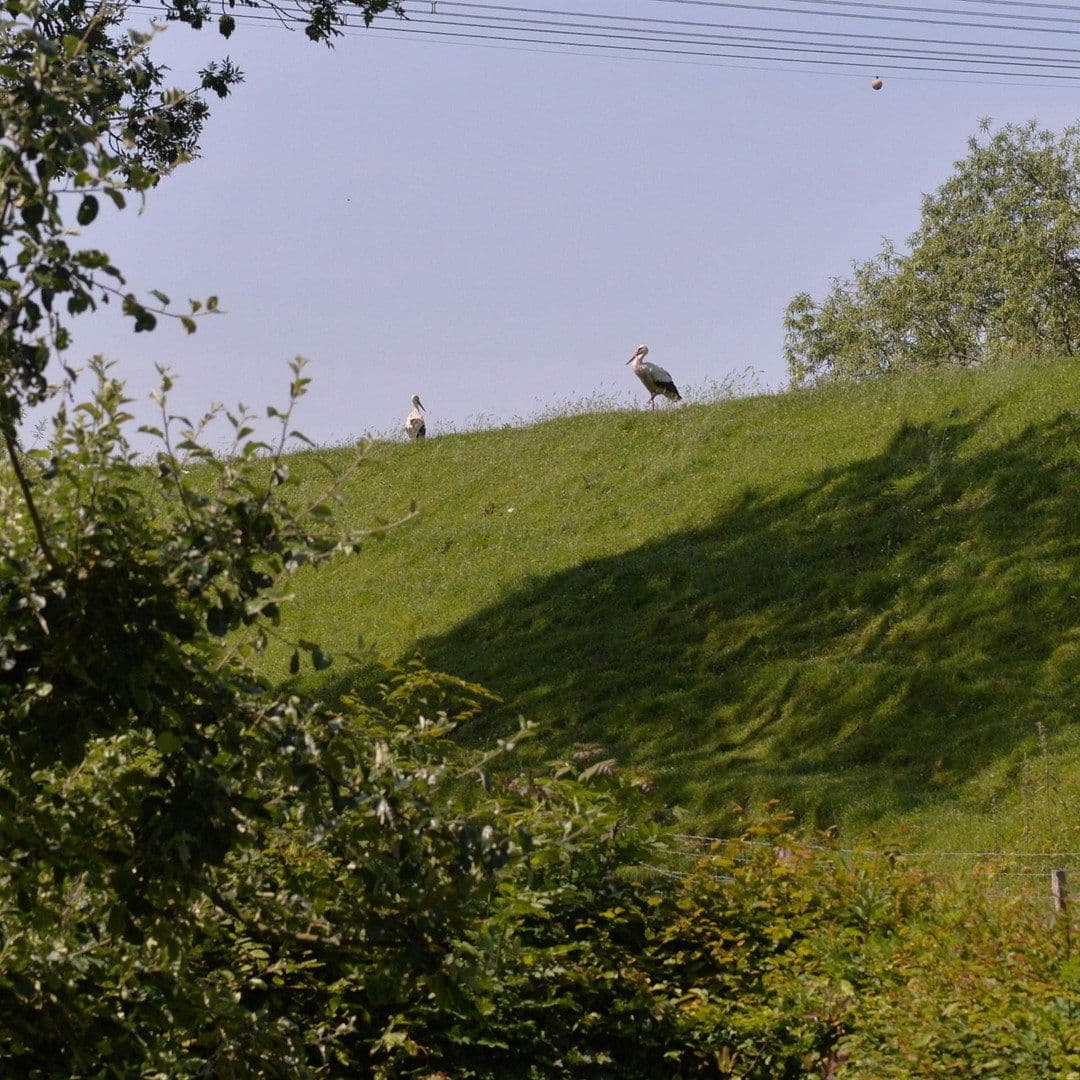 Predaj domu 188 m², pozemek 6.000 m², Bahrenfleth, Šlezvicko-Holštajnsko Predaj domu 188 m², pozemek 6.000 m², Bahrenfleth, Šlezvicko-Holštajnsko