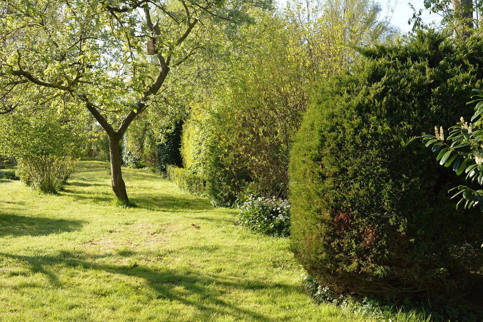 Predaj domu 188 m², pozemek 6.000 m², Bahrenfleth, Šlezvicko-Holštajnsko Predaj domu 188 m², pozemek 6.000 m², Bahrenfleth, Šlezvicko-Holštajnsko