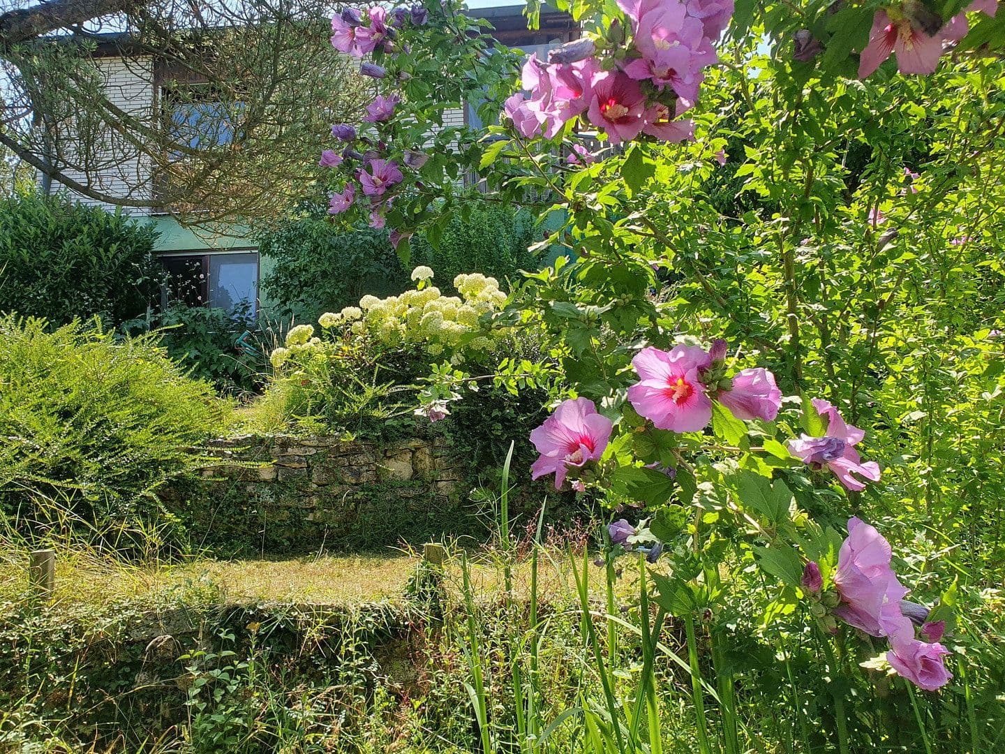 Predaj domu 199 m², pozemek 1.037 m², Diezenthalweg 2, Buggingen, Bádensko-Wurttembersko Predaj domu 199 m², pozemek 1.037 m², Diezenthalweg 2, Buggingen, Bádensko-Wurttembersko