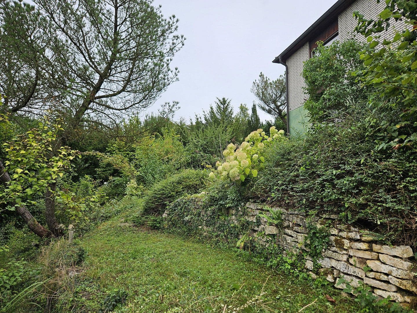 Predaj domu 199 m², pozemek 1.037 m², Diezenthalweg 2, Buggingen, Bádensko-Wurttembersko Predaj domu 199 m², pozemek 1.037 m², Diezenthalweg 2, Buggingen, Bádensko-Wurttembersko