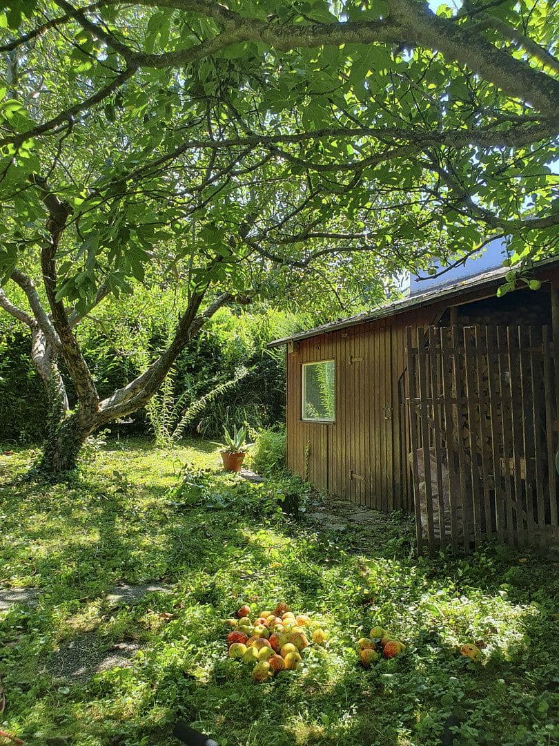 Predaj domu 199 m², pozemek 1.037 m², Diezenthalweg 2, Buggingen, Bádensko-Wurttembersko Predaj domu 199 m², pozemek 1.037 m², Diezenthalweg 2, Buggingen, Bádensko-Wurttembersko