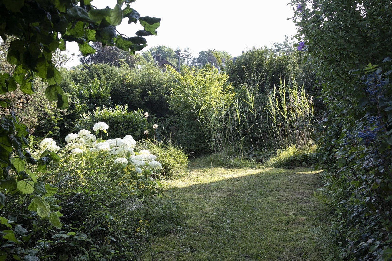 Predaj domu 199 m², pozemek 1.037 m², Diezenthalweg 2, Buggingen, Bádensko-Wurttembersko Predaj domu 199 m², pozemek 1.037 m², Diezenthalweg 2, Buggingen, Bádensko-Wurttembersko