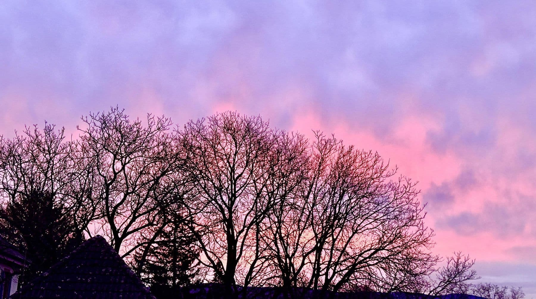 Predaj bytu 4-izbový 146 m², Schallstadt, Bádensko-Wurttembersko Predaj bytu 4-izbový 146 m², Schallstadt, Bádensko-Wurttembersko