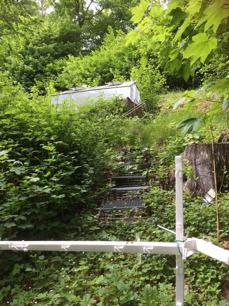 Predaj pozemku 3.218 m², Zell im Wiesental, Bádensko-Wurttembersko Predaj pozemku 3.218 m², Zell im Wiesental, Bádensko-Wurttembersko