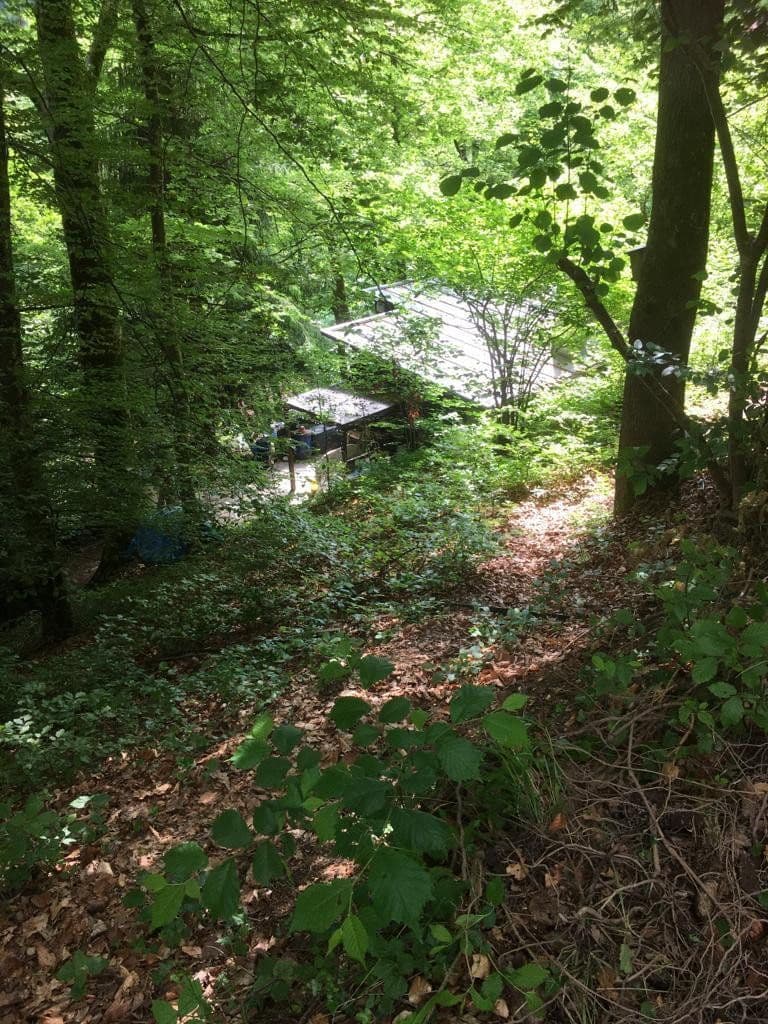 Predaj pozemku 3.218 m², Zell im Wiesental, Bádensko-Wurttembersko Predaj pozemku 3.218 m², Zell im Wiesental, Bádensko-Wurttembersko