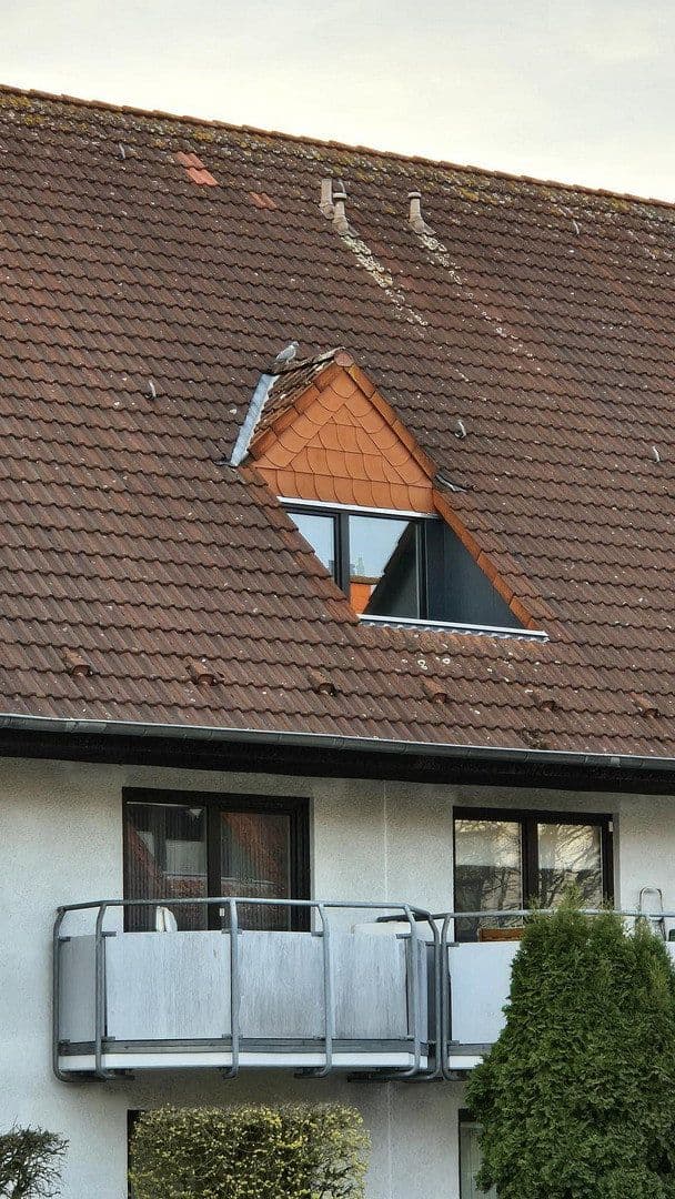 Prenájom bytu 1-izbový 26 m², Zur Friedrichsburg 14, Greven, Severné Porýnie - Westfálsko Prenájom bytu 1-izbový 26 m², Zur Friedrichsburg 14, Greven, Severné Porýnie - Westfálsko