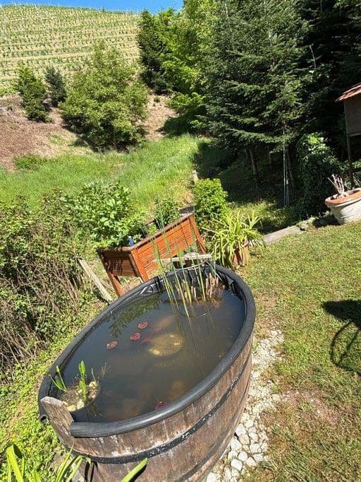 Predaj domu 296 m², pozemek 940 m², Oberkirch, Bádensko-Wurttembersko Predaj domu 296 m², pozemek 940 m², Oberkirch, Bádensko-Wurttembersko