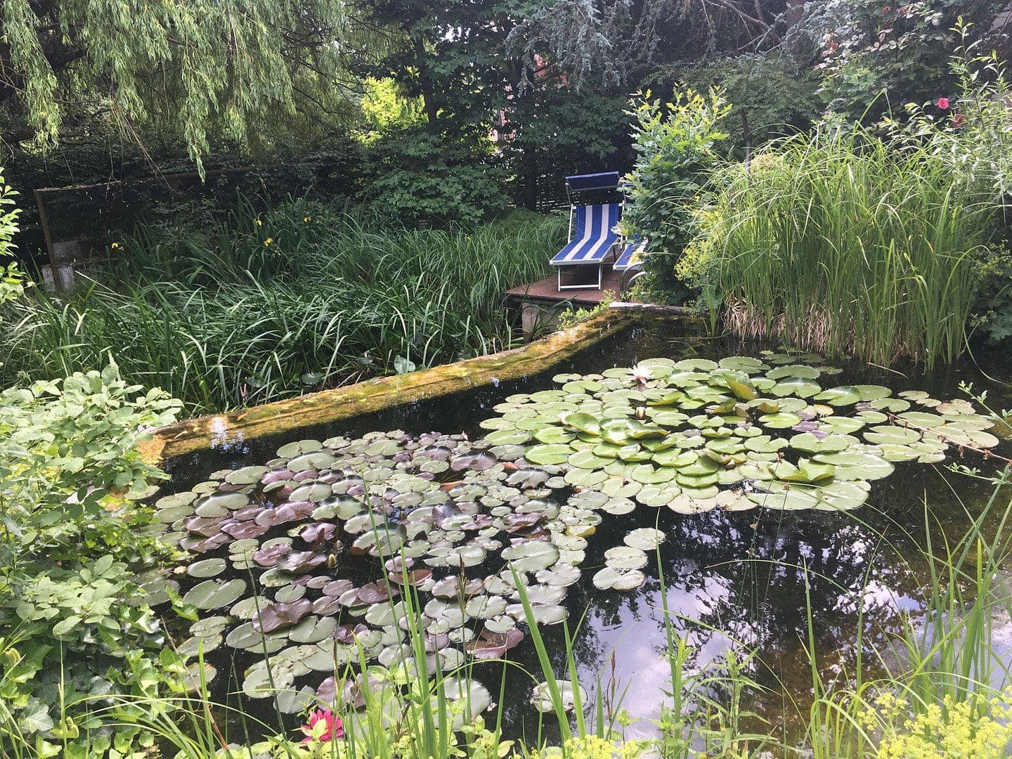 Predaj domu 238 m², pozemek 1.108 m², Landshut, Bavorsko Predaj domu 238 m², pozemek 1.108 m², Landshut, Bavorsko