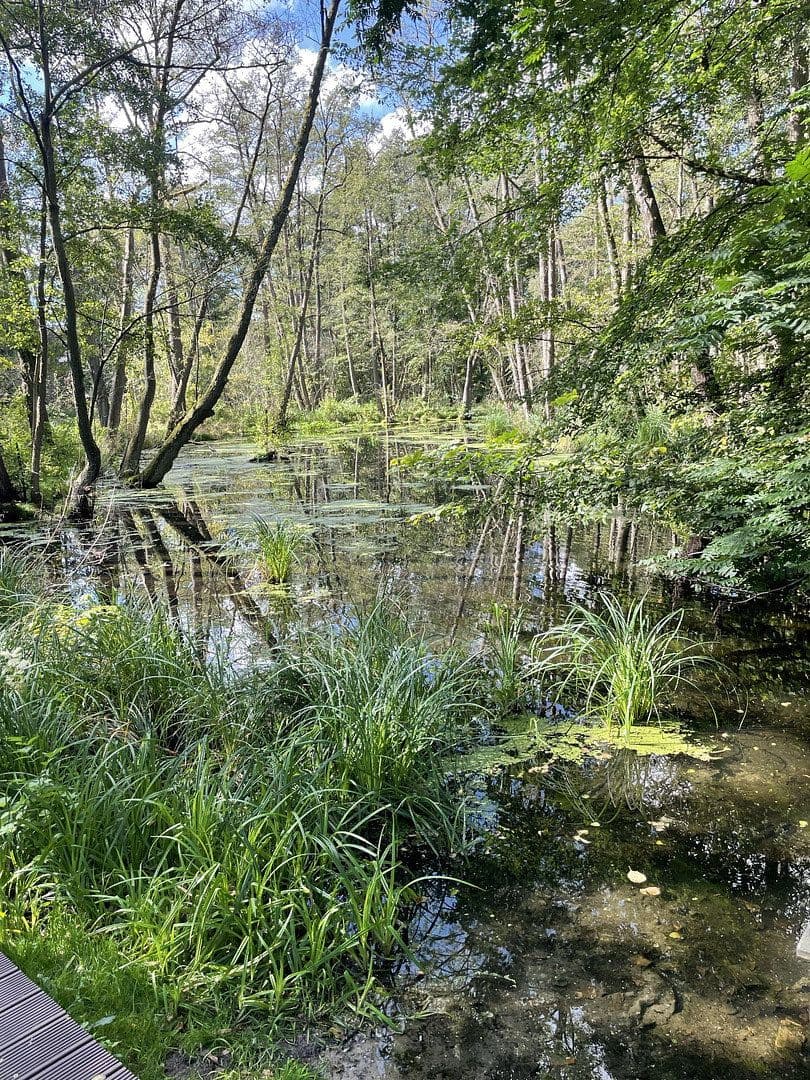 Predaj domu 127 m², pozemek 1.242 m², Birkenwerder, Brandenbursko Predaj domu 127 m², pozemek 1.242 m², Birkenwerder, Brandenbursko