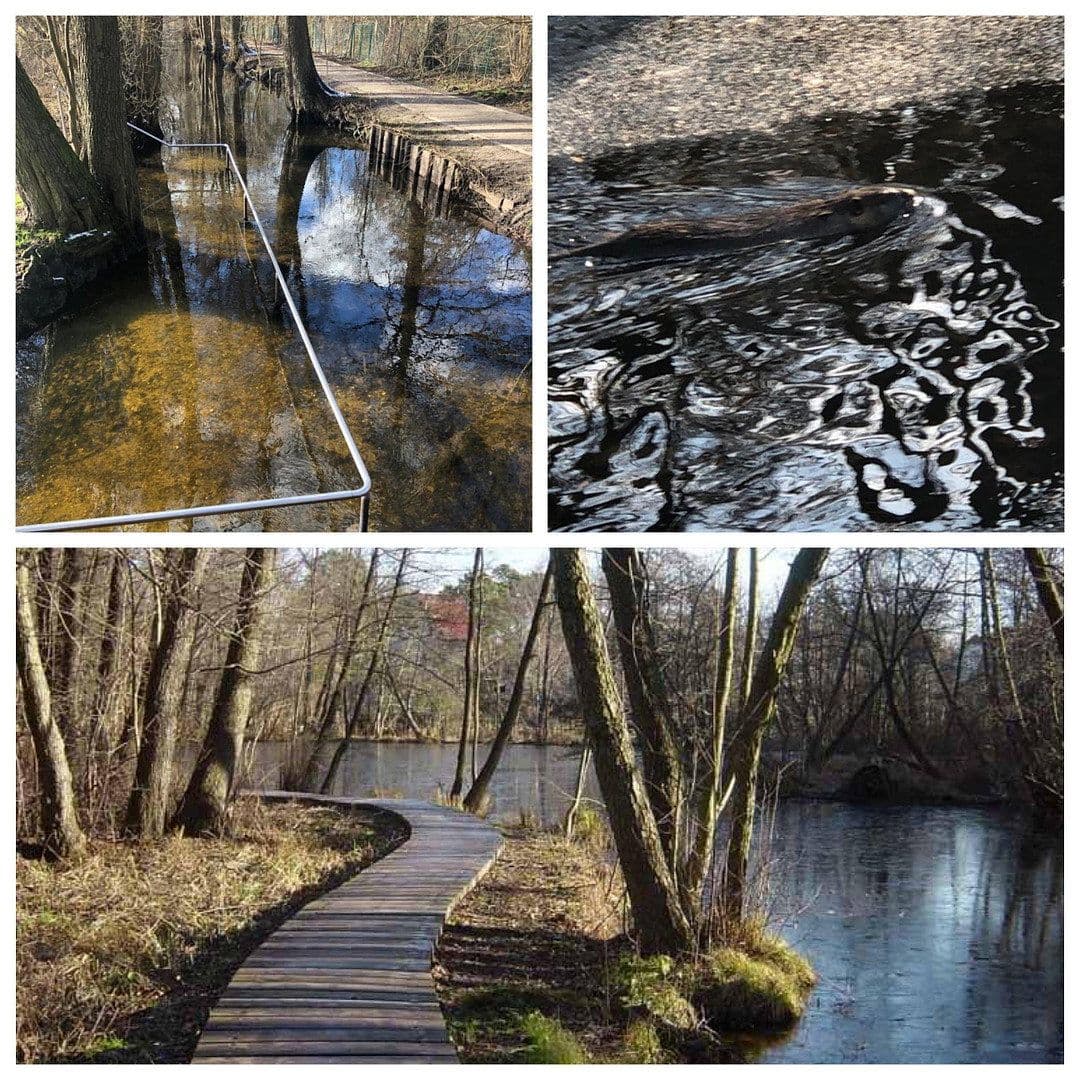 Predaj domu 127 m², pozemek 1.242 m², Birkenwerder, Brandenbursko Predaj domu 127 m², pozemek 1.242 m², Birkenwerder, Brandenbursko