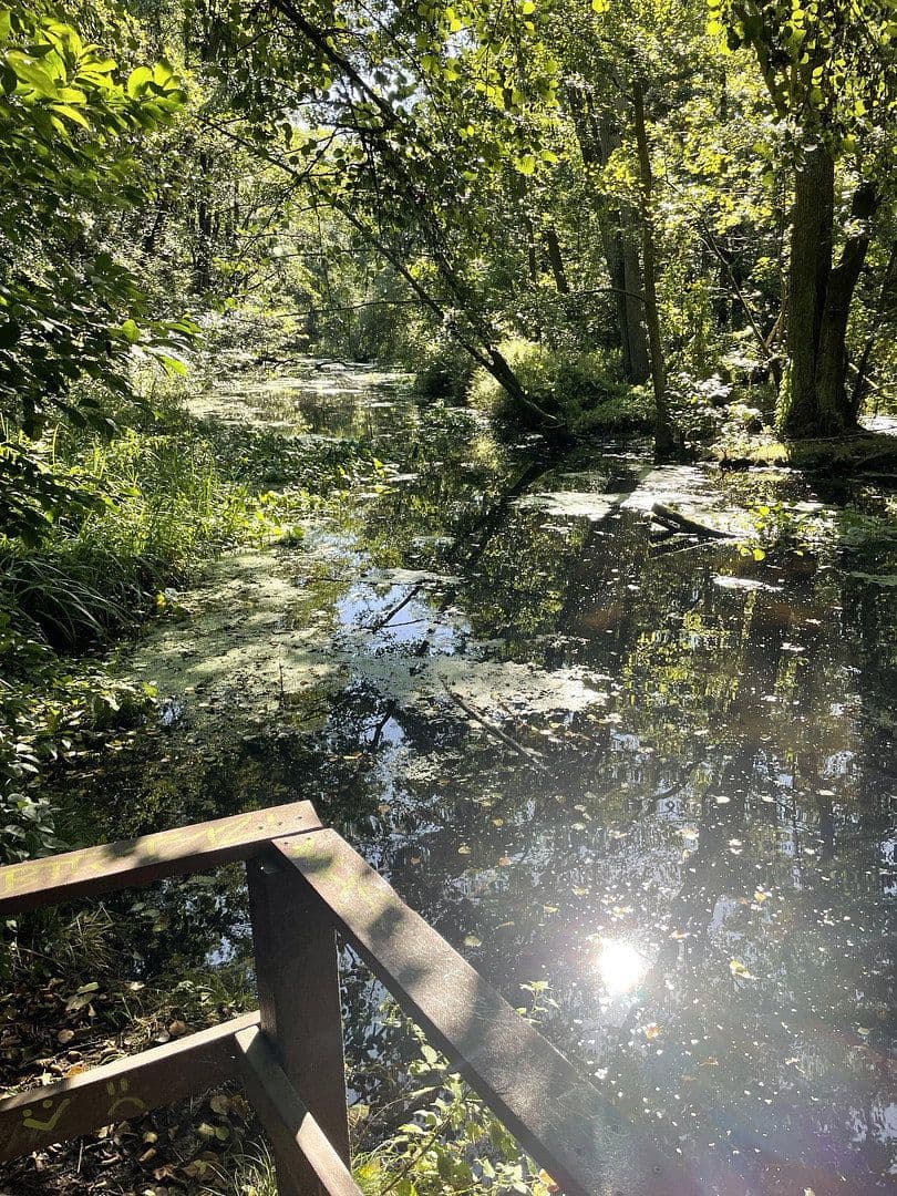 Predaj domu 127 m², pozemek 1.242 m², Birkenwerder, Brandenbursko Predaj domu 127 m², pozemek 1.242 m², Birkenwerder, Brandenbursko