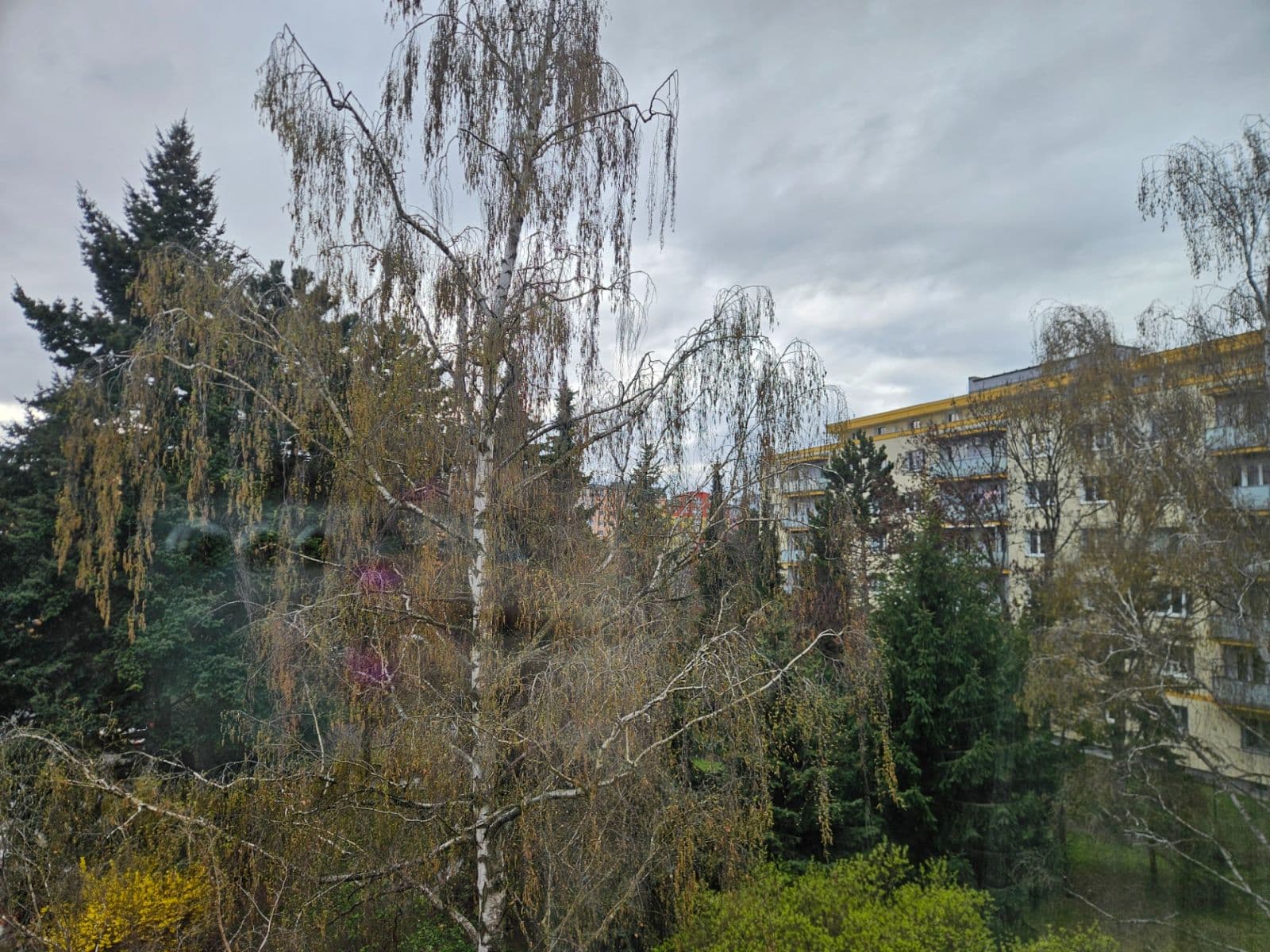 Predaj bytu 2-izbový 52 m², Šumperská, Praha, Praha Predaj bytu 2-izbový 52 m², Šumperská, Praha, Praha