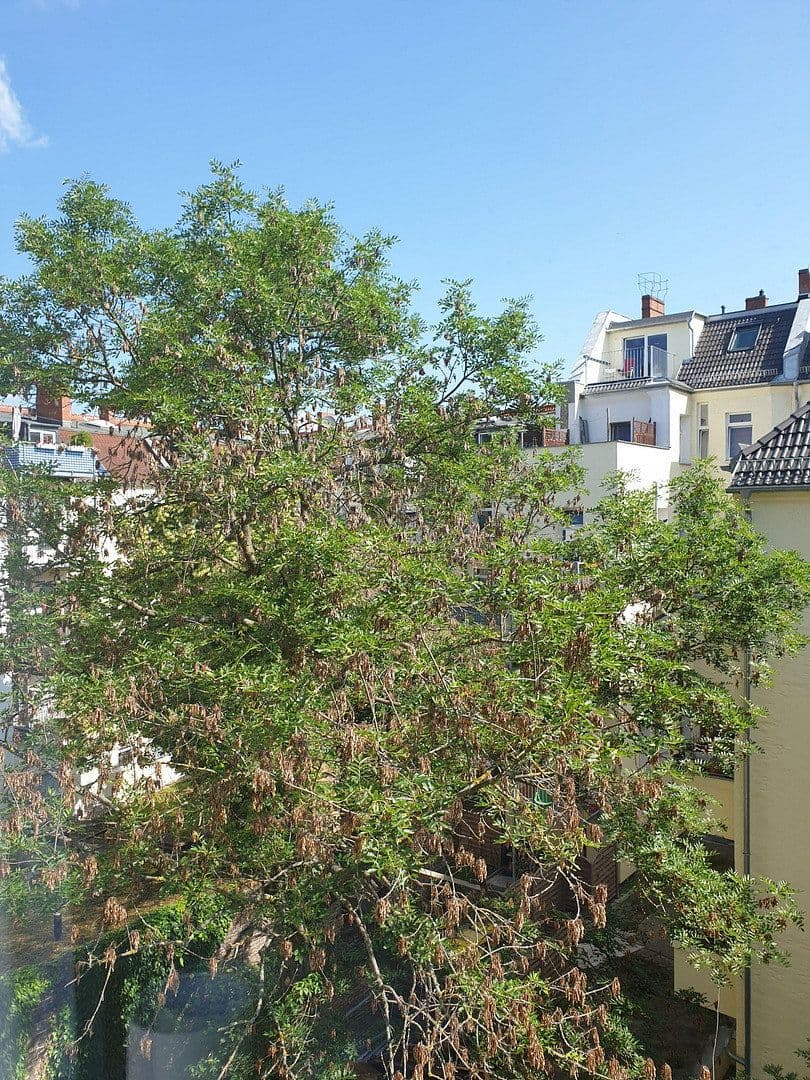 Predaj bytu 5-izbový 116 m², Scheiblerstr., Berlin, Berlín Predaj bytu 5-izbový 116 m², Scheiblerstr., Berlin, Berlín