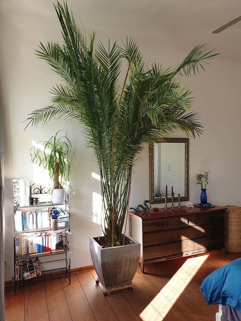 Predaj bytu 5-izbový 116 m², Scheiblerstr., Berlin, Berlín Predaj bytu 5-izbový 116 m², Scheiblerstr., Berlin, Berlín