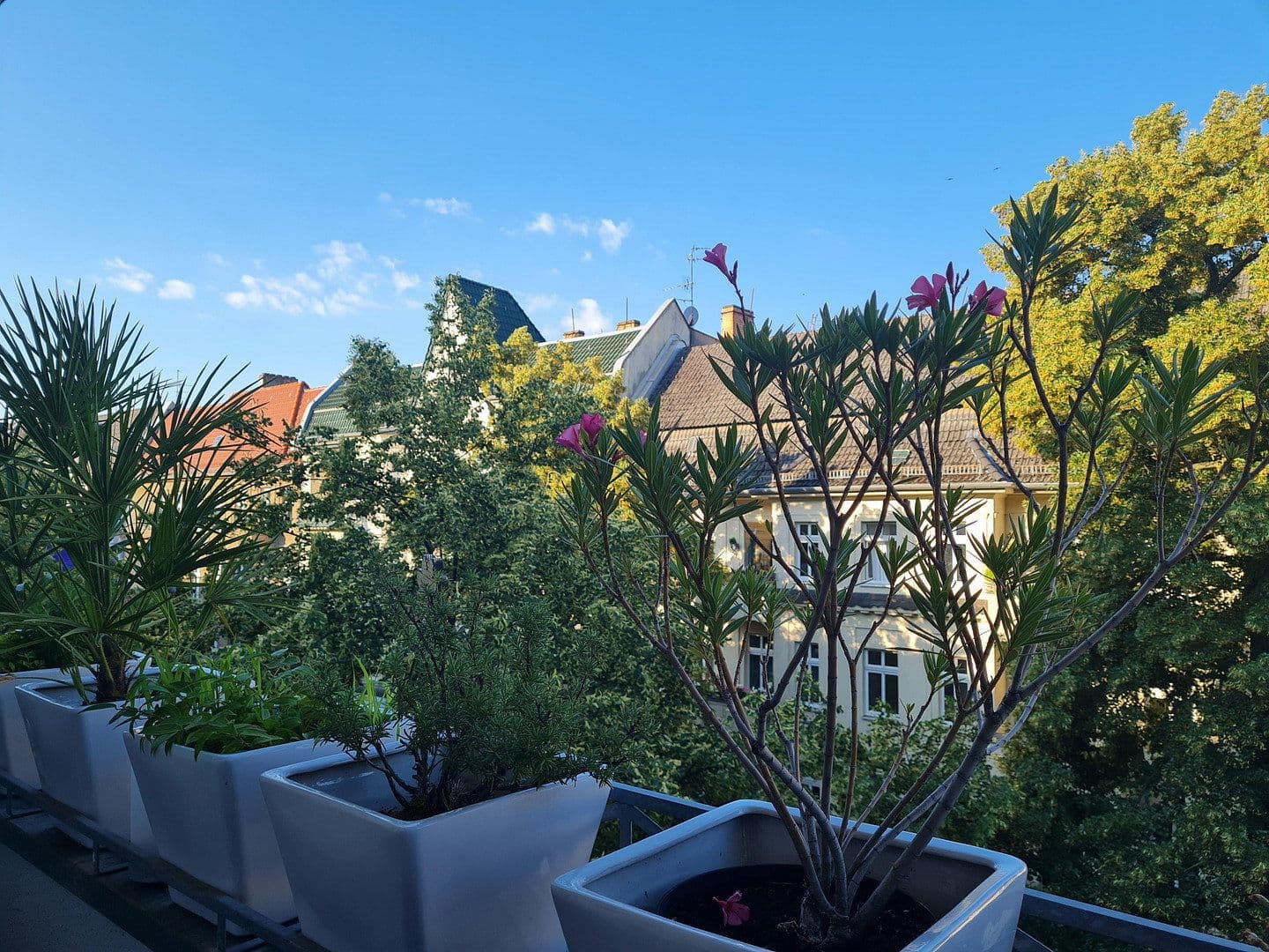 Predaj bytu 5-izbový 116 m², Scheiblerstr., Berlin, Berlín Predaj bytu 5-izbový 116 m², Scheiblerstr., Berlin, Berlín