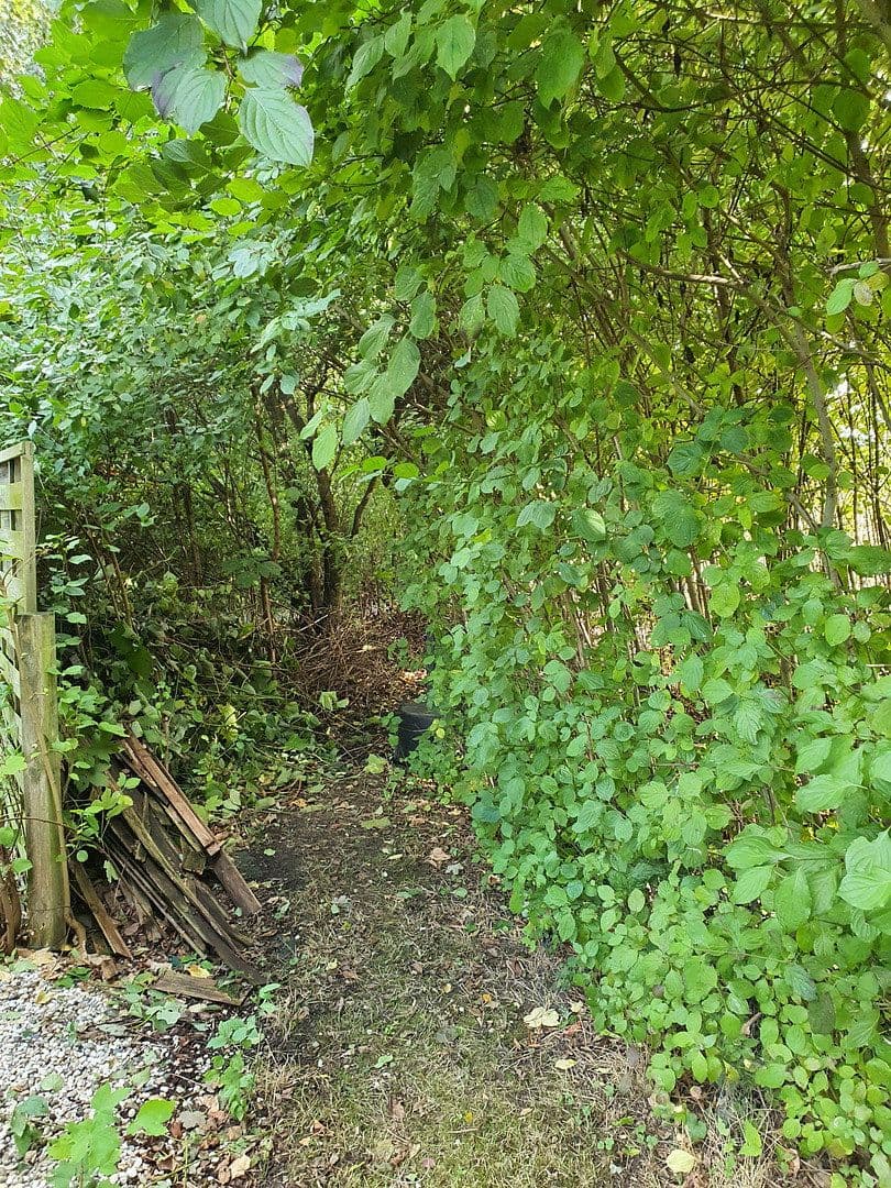 Predaj domu 133 m², pozemek 932 m², Wentorf (Amt Sandesneben), Šlezvicko-Holštajnsko Predaj domu 133 m², pozemek 932 m², Wentorf (Amt Sandesneben), Šlezvicko-Holštajnsko