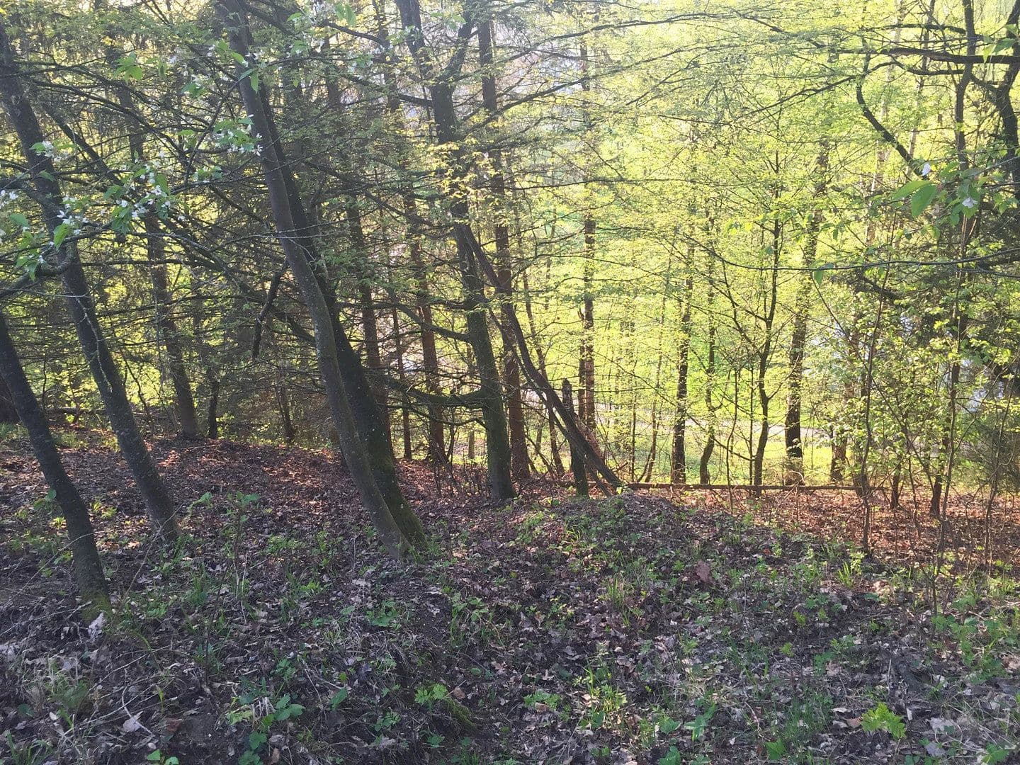 Predaj domu 60 m², pozemek 11.475 m², Adlkofen, Bavorsko Predaj domu 60 m², pozemek 11.475 m², Adlkofen, Bavorsko