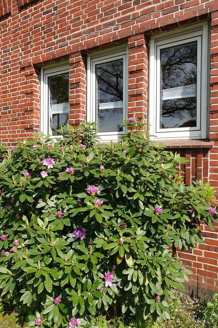 Predaj domu 170 m², pozemek 1.293 m², Hamburg, Hamburg Predaj domu 170 m², pozemek 1.293 m², Hamburg, Hamburg