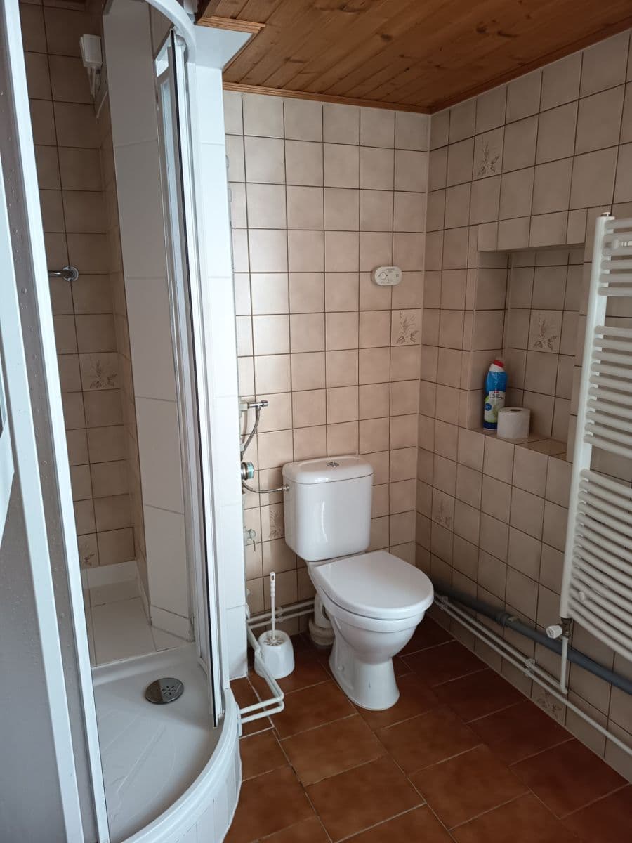 Prenájom bytu 1-izbový 32 m², Zikmunda Wintra, Plzeň, Plzeňský kraj Prenájom bytu 1-izbový 32 m², Zikmunda Wintra, Plzeň, Plzeňský kraj