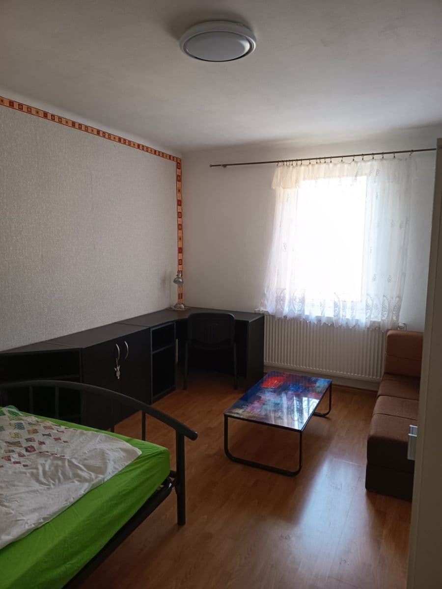 Prenájom bytu 1-izbový 32 m², Zikmunda Wintra, Plzeň, Plzeňský kraj Prenájom bytu 1-izbový 32 m², Zikmunda Wintra, Plzeň, Plzeňský kraj