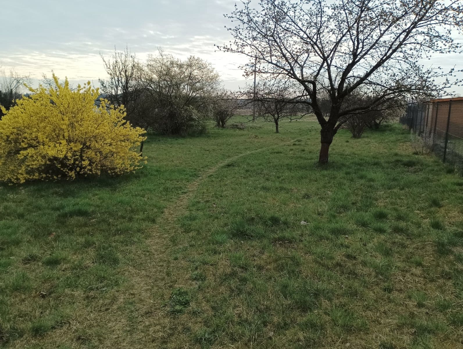 Predaj pozemku 500 m², Polní, Lázně Bohdaneč, Pardubický kraj Predaj pozemku 500 m², Polní, Lázně Bohdaneč, Pardubický kraj