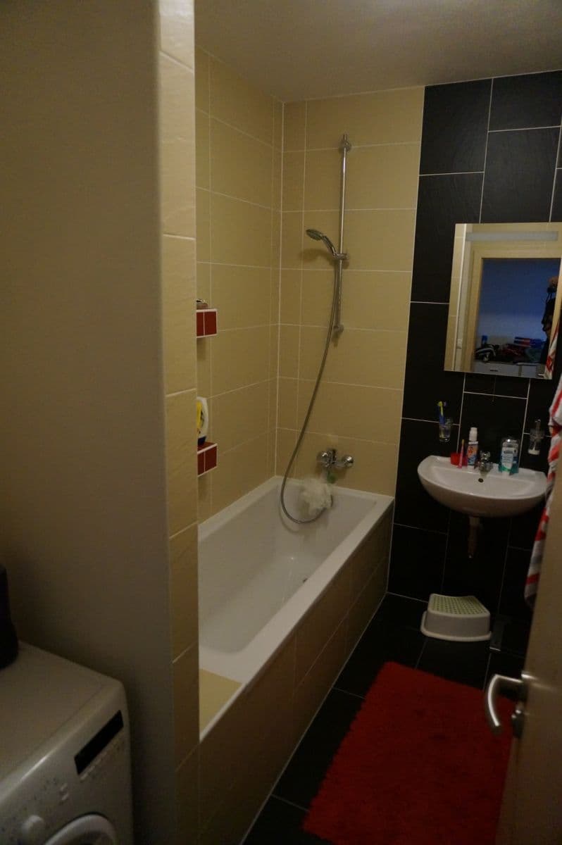 Prenájom bytu 2-izbový 53 m², Říčanská, Brno, Jihomoravský kraj Prenájom bytu 2-izbový 53 m², Říčanská, Brno, Jihomoravský kraj