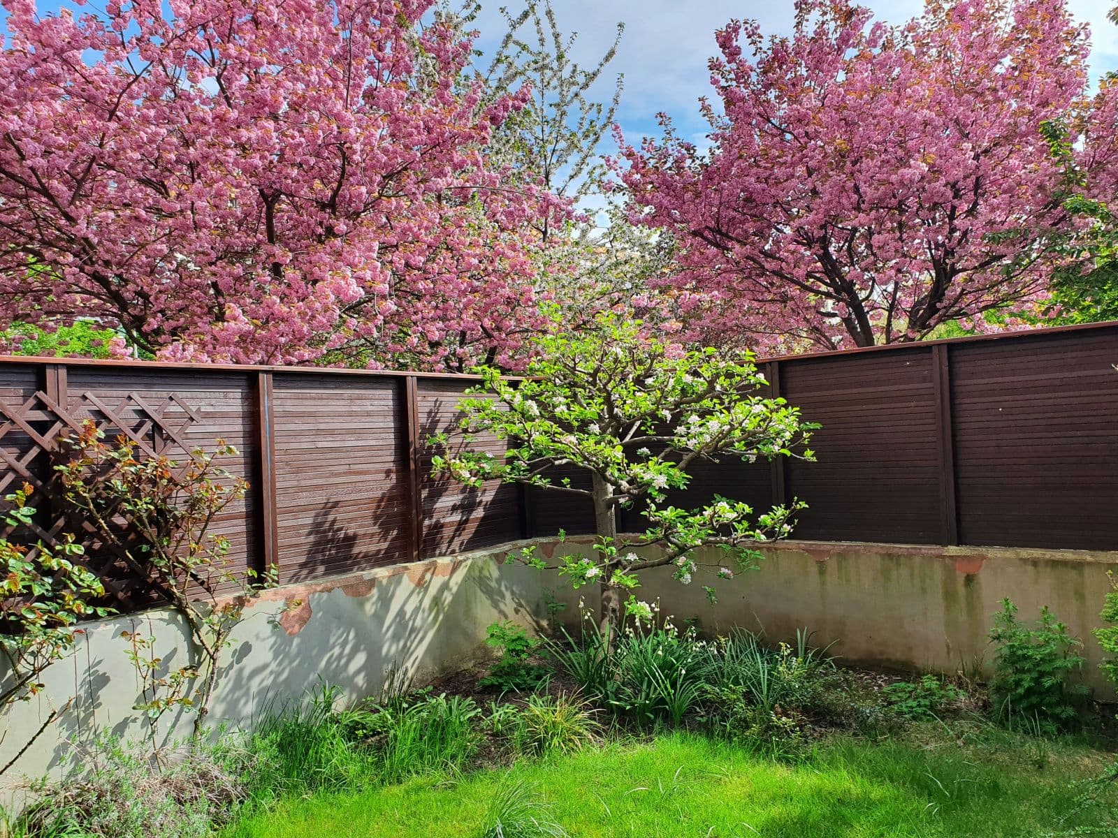 Prenájom bytu 35 m², Kodymova, Praha, Praha Prenájom bytu 35 m², Kodymova, Praha, Praha