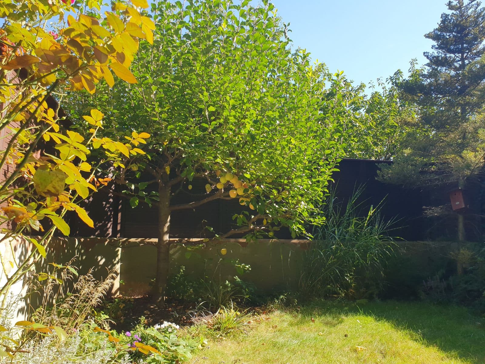 Prenájom bytu 35 m², Kodymova, Praha, Praha Prenájom bytu 35 m², Kodymova, Praha, Praha