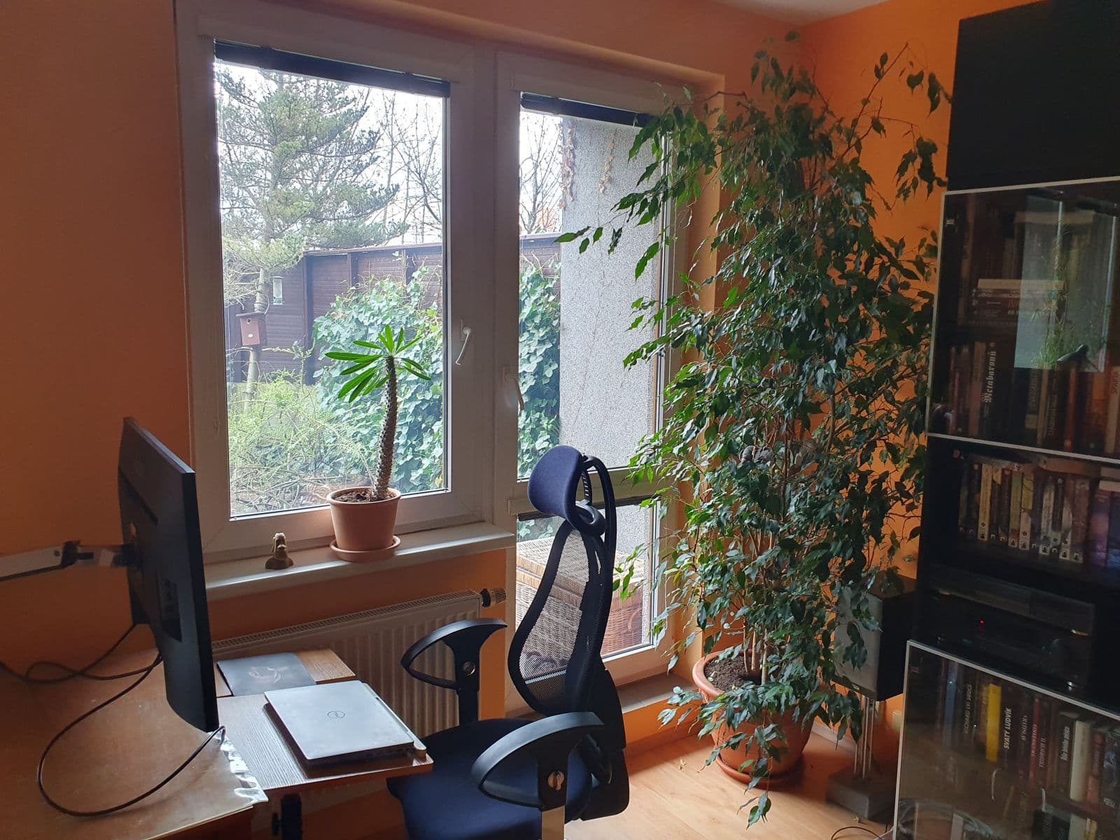 Prenájom bytu 35 m², Kodymova, Praha, Praha Prenájom bytu 35 m², Kodymova, Praha, Praha