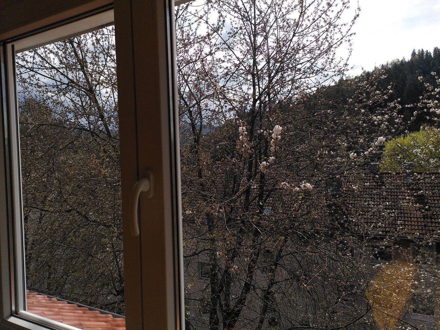 Predaj bytu 4-izbový 82 m², Baden-Baden, Bádensko-Wurttembersko Predaj bytu 4-izbový 82 m², Baden-Baden, Bádensko-Wurttembersko