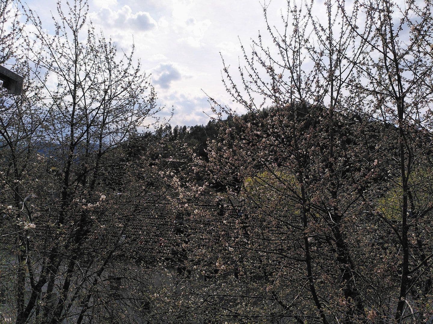 Predaj bytu 4-izbový 82 m², Baden-Baden, Bádensko-Wurttembersko Predaj bytu 4-izbový 82 m², Baden-Baden, Bádensko-Wurttembersko