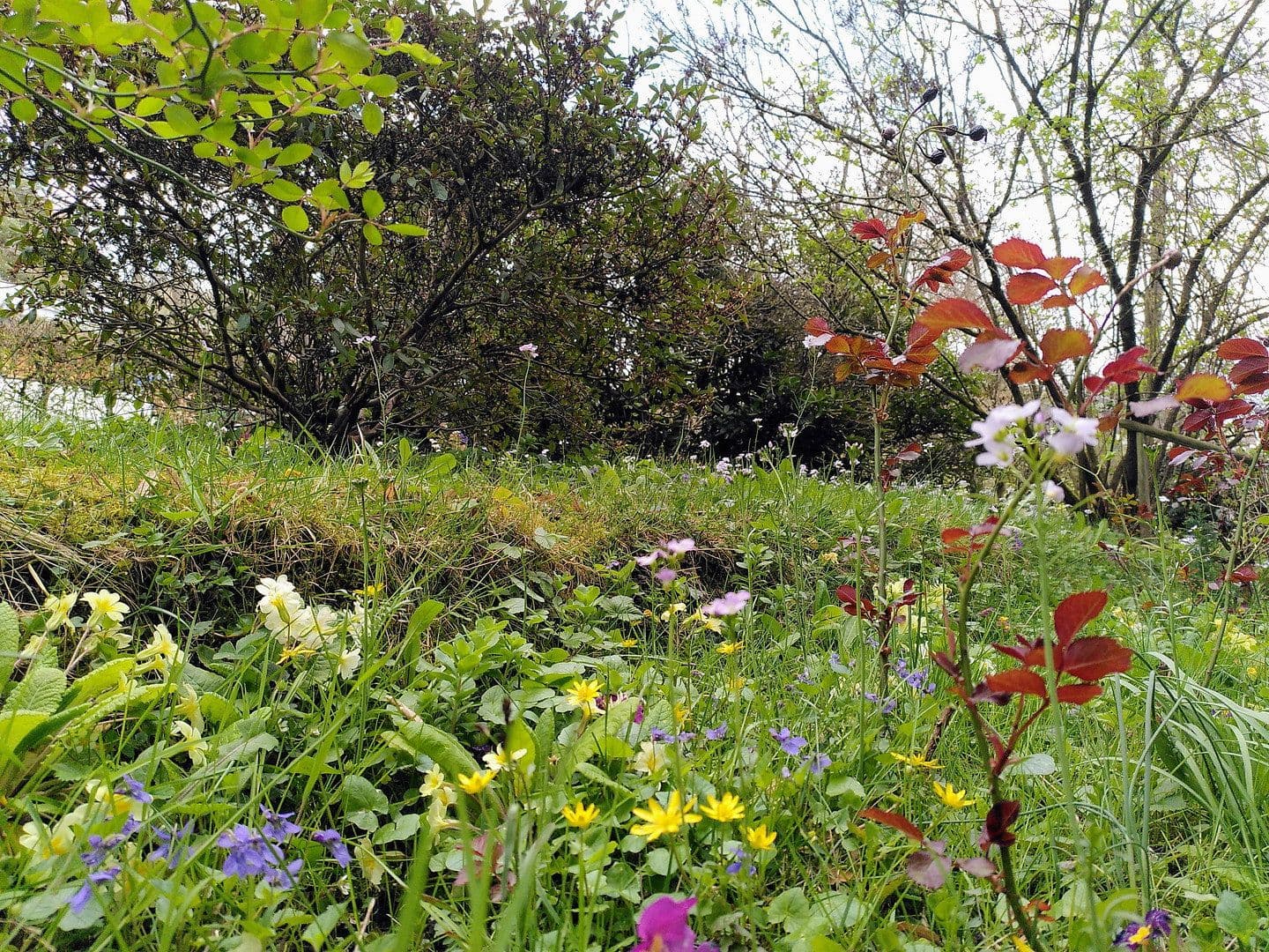 Predaj bytu 4-izbový 82 m², Baden-Baden, Bádensko-Wurttembersko Predaj bytu 4-izbový 82 m², Baden-Baden, Bádensko-Wurttembersko