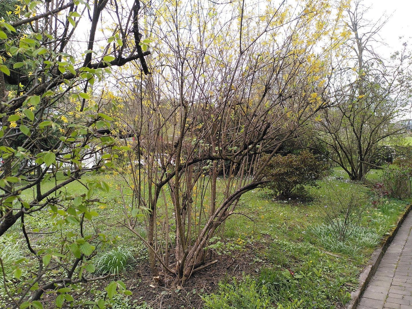 Predaj bytu 4-izbový 82 m², Baden-Baden, Bádensko-Wurttembersko Predaj bytu 4-izbový 82 m², Baden-Baden, Bádensko-Wurttembersko