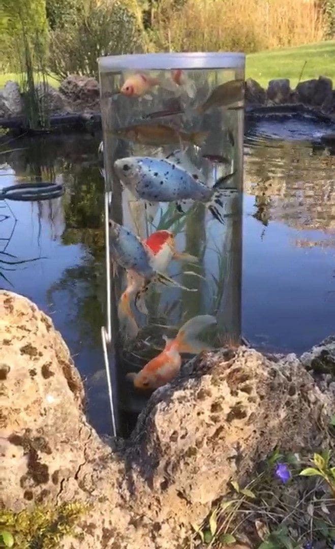 Predaj domu 263 m², pozemek 4.800 m², Rödinghausen, Severné Porýnie - Westfálsko Predaj domu 263 m², pozemek 4.800 m², Rödinghausen, Severné Porýnie - Westfálsko