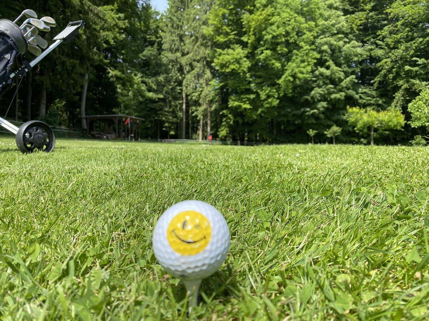 Predaj domu 263 m², pozemek 4.800 m², Rödinghausen, Severné Porýnie - Westfálsko Predaj domu 263 m², pozemek 4.800 m², Rödinghausen, Severné Porýnie - Westfálsko