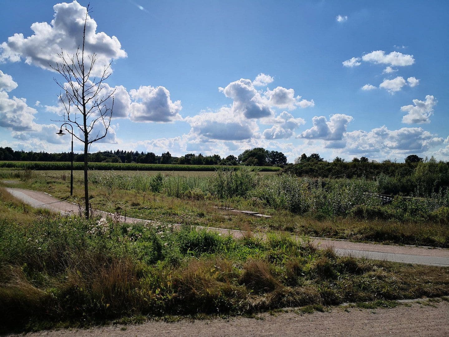 Predaj domu 141 m², pozemek 564 m², Harsefeld, Dolné Sasko Predaj domu 141 m², pozemek 564 m², Harsefeld, Dolné Sasko