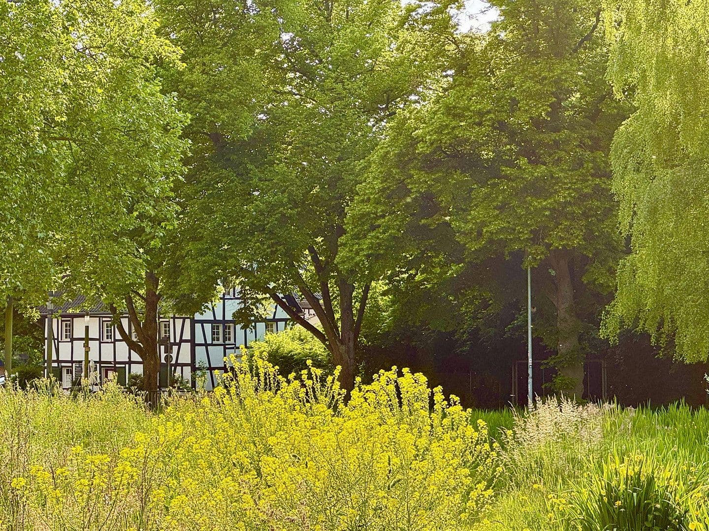 Predaj nebytového priestoru 388 m², Bergisch Gladbach, Severné Porýnie - Westfálsko Predaj nebytového priestoru 388 m², Bergisch Gladbach, Severné Porýnie - Westfálsko