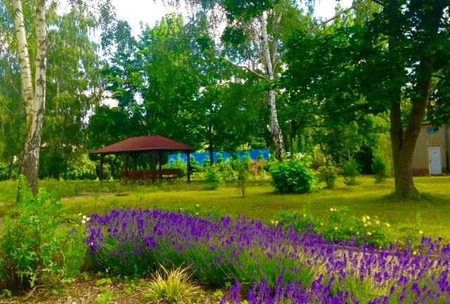 Prenájom bytu 1-izbový 23 m², Ostbahnhofstr. 20A, Eilenburg, Sasko Prenájom bytu 1-izbový 23 m², Ostbahnhofstr. 20A, Eilenburg, Sasko